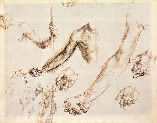 Affiche Étude des mains Albrecht Dürer poster abstrait nordique pour chambre 60x90cm