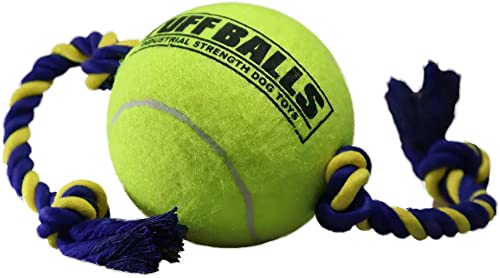 See full amazon price history chart for PetSport:- Giant Tuff Ball with Cotton Tug Rope Toy, Non-Toxic for Puppies and Adult Dogs, Great for Playing Fetch, Ideal for Small and Medium Size Dogs, Maintains Dental Hygiene 20" PetSport:- Giant Tuff Ball with Cotton Tug Rope Toy, Non-Toxic for Puppies and Adult Dogs, Great for Playing Fetch, Ideal for Small and Medium Size Dogs, Maintains Dental Hygiene 20" (B09K48XHBD) Amazon Price History, Amazon Price Tracker