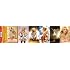 Britney Spears Circus Yellow