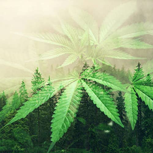 #1-First Time ever getting high