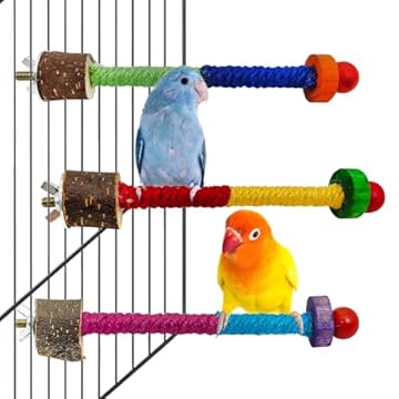 best bird perches for green cheeked conures