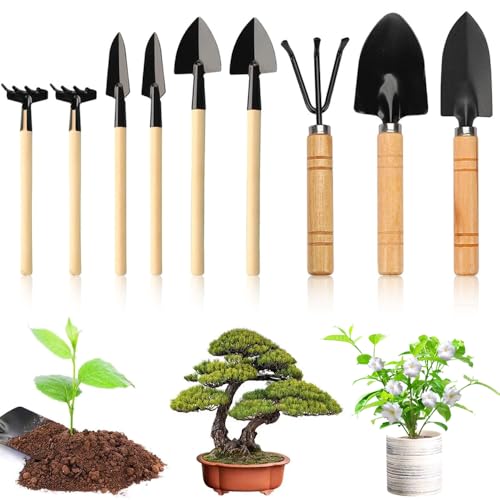 Garden Tools Set, 9PCS Succulent Plants Tools, Mini Garden Tools, Transplanting Gardening Tool Home Tiny Gardening Kit for Small Flower Garden Plants Care