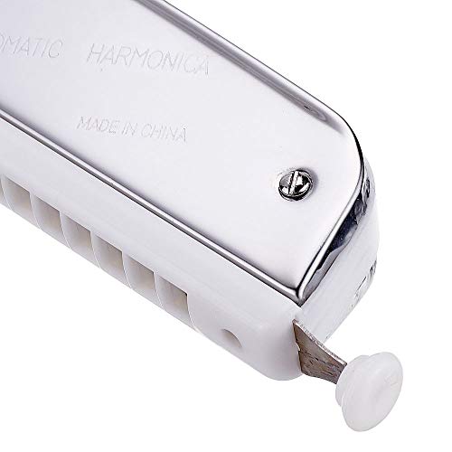 Harmonica 2019 m1015 24 trous harmonica coloré C – key fente orgue oral professionnel portable tremolo Mini harpe… - Les Beatles, Paul McCartney, John Lennon, RIngo Starr, George Harrison Harmonica 2019 m1015 24 trous harmonica coloré C - key fente orgue oral professionnel portable tremolo Mini harpe… – Image 7
