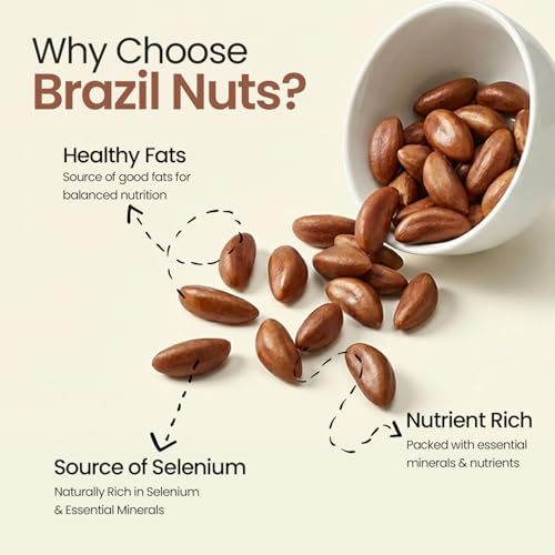 Image of GoVegan Premium Brazil Nuts 100gm | 100% Natural & Vegan | Rich in Selenium, Protein & Healthy Fats | Superfood for Energy