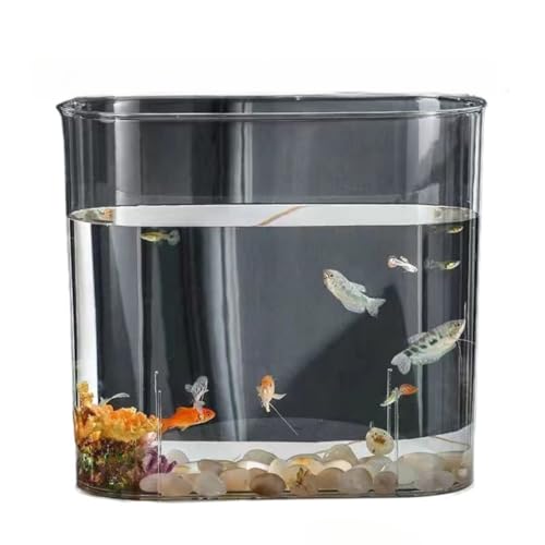 Dlwk 大容量透明アクリル水槽ボウル31.5 / 22 / 25cmデスクトップ生態学的な水槽金魚メダカ飼育タンク水耕植物装飾花瓶一体成形落下防止 (31.5x28.5cm)