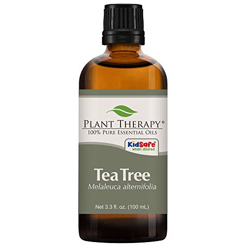 Plant Therapy Tea Tree Essential Oil 100% Pure, Undiluted, Natural Aromatherapy, Therapeutic Grade 100 mL (3.3 oz) #1