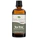 Plant Therapy Tea Tree Essential Oil 100% Pure, Undiluted, Natural Aromatherapy, Therapeutic Grade 100 mL (3.3 oz)