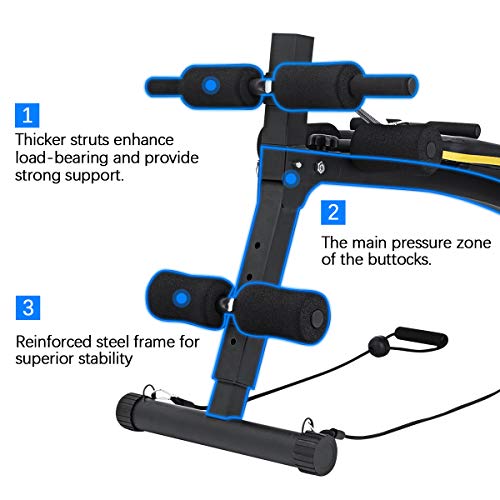 Doufit Adjustable Sit Up Bench for Workout, WB-03 Abs Multi-Function Training Bench for Home Gym, Abdominal Workout Bench with 3 Adjustable Height Settings