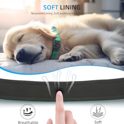 Image of Upgrade Dog Collar with AirTag Holder, IP68 Waterproof, Teal, XS
