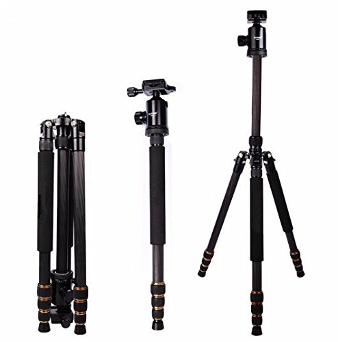 Trépied en fibre de carbone Gowe avec rotule pour DSLR haut de gamme