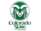 Rico NCAA Small Static Decal