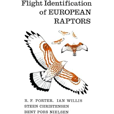 Flight Identification of European Raptors