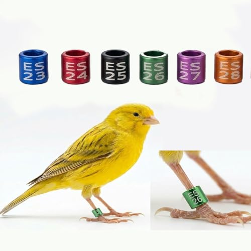 Genérico Anillas de Aluminio para Canario y jilgueros Tipo federativas de 3mm (Pack 10 Unidades) Variedad de Colores (Verde)