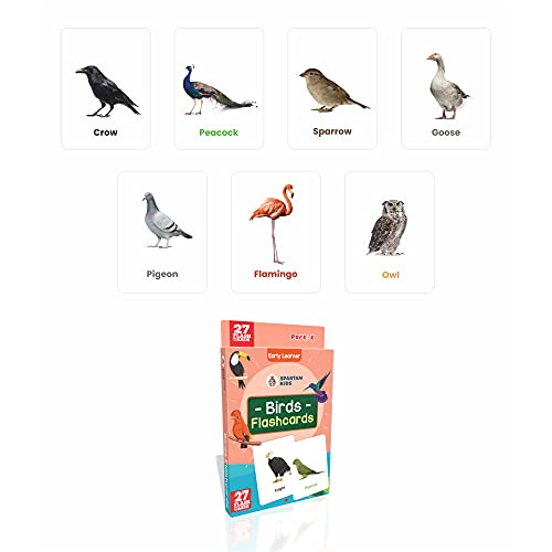 Image of Flash Cards for Kids (Set of 5) Easy & Fun Way of Learning 3 Months to 6 Years Babies (Combo Set)