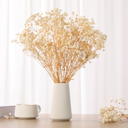 Ramo Flores Secas Babys Breath 17" Natural 2oz miniatura 3