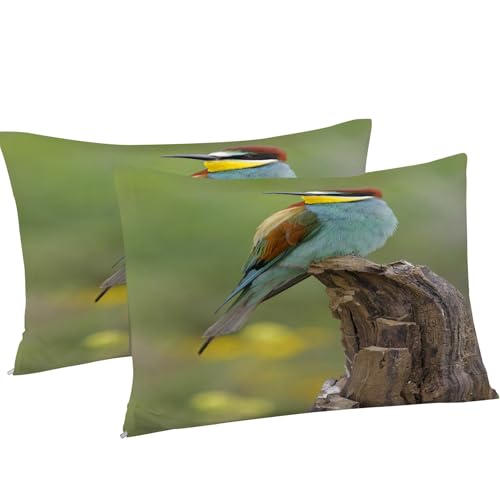 Parure de lit colibri en microfibre douce premium, literie 3 pièces résistante kK1016 - 5