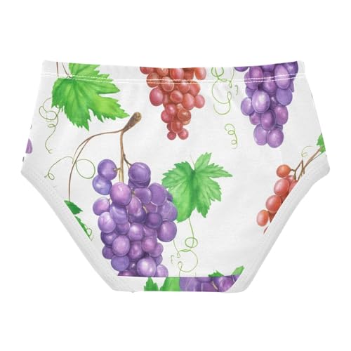 Funny Girls Underwear Toddler 2t Cotton Girl Panties Cute Purple Red Grapes Green Leaves Briefs Girls Undies2