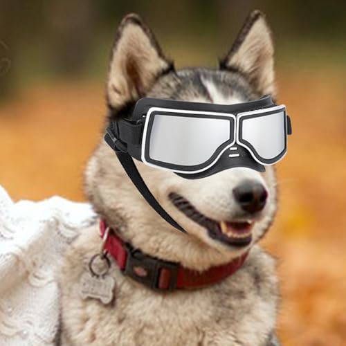 Lunettes de protection pour chiens Teksome pour taille moyenne et grande - 4