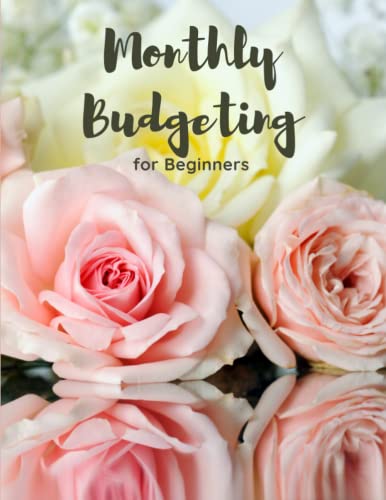 Monthly Budgeting for Beginners: 120 pages 8.5X11, Easy Way to Learn how to Budget image 2