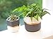 Mkono Ceramic Flower Pots for Indoor Plants 6 Inch and 4.8 Inch Modern Decorative Planters, Set of 2 Geometric Gardening Pots with Drainage for All House Plants (Plants NOT Included)