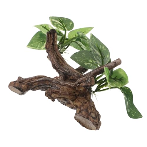 PartyKindom pAhtgEbhAA WCΉ̋B كCAEgp?^?