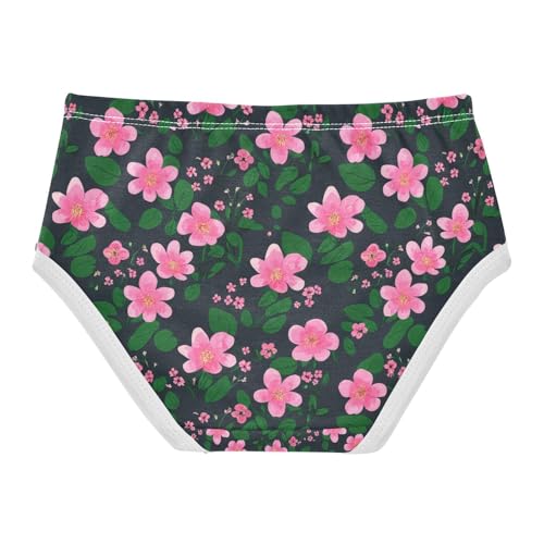 Floral Pink Blossoms Toddler Girls's Underwear 2T 202c11402