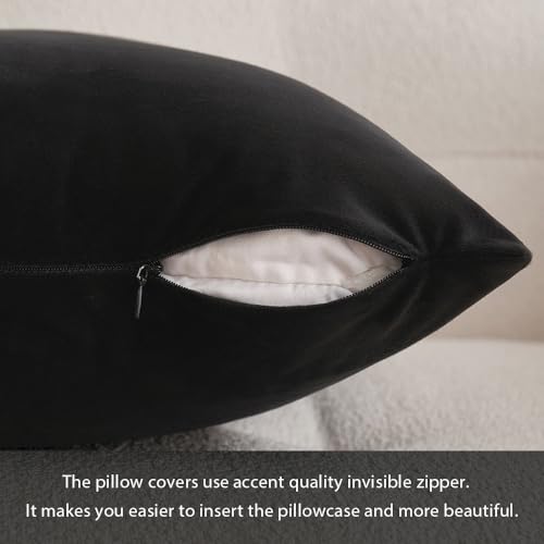 Image of MIULEE Velvet Throw Pillow Covers 12x20 Inch, Pack of 2 - Black, Soft Solid Lumbar Decorative Pillow Covers Modern Luxury Home Decor for Chair Couch Sofa Bedroom Livingroom