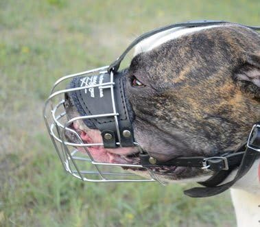 犬 口輪 大型犬 アメリカンブルドッグ マズルガードサイズ Fordogtrainers マズル 口輪 通販 Amazon 犬 口輪 大型犬 アメリカンブルドッグ マズルガードサイズ Fordogtrainers マズル 口輪 通販 Amazon