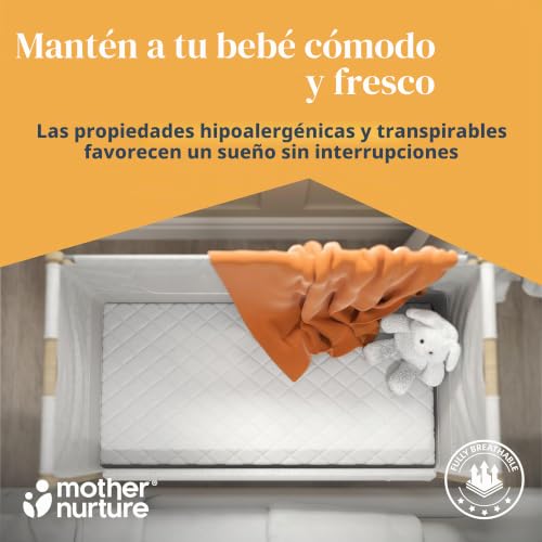 Miniatura 3 de 