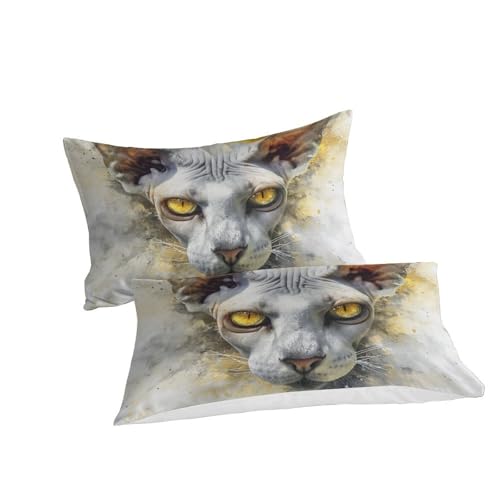 Housse de couette chat sans poils doux pour réchauffer les nuits de garçons - 3