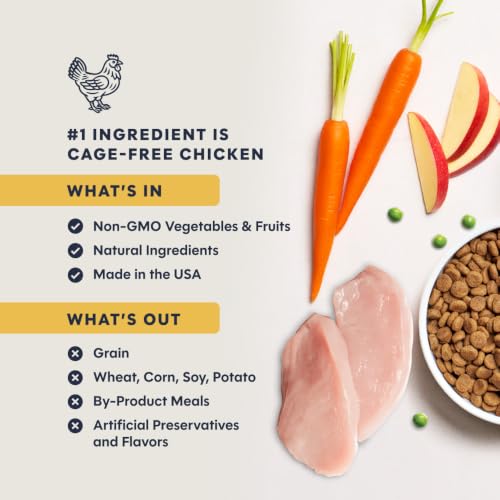 Image of Instinct Original Dry Cat Food, Raw Coated Kibble, Real Chicken, 11 lb. Bag