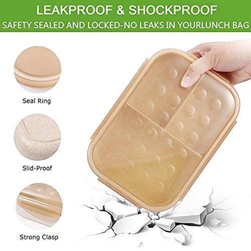 Image of Lunch Box 3 Compartment Insulated Lunch Box Reusable Microwave /Freezer /Dishwasher Safe Leak Proof Tiffin Box for Boys, Girls, School & Office Men - 1150ML. (Multicolor)