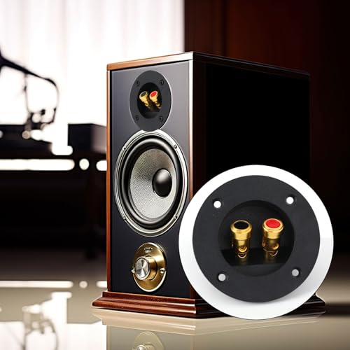 2 piezas terminales para caja de altavoz miniatura 5