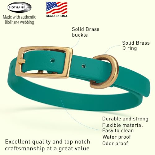 Image of Viper Biothane Heavy Duty Waterproof Dog Collar Strong Coated Nylon Webbing w /Solid Brass Hardware Odor-Proof Easy to Clean High Performance Fits Small Medium or Large Dogs, Blue Aqua