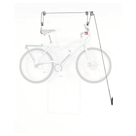 Delta Cycle El Greco Bike Hoist for Garage Lift Space Storage Kayak