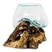 BLACK FOREST DECOR Organic Blown Glass & Root Bowl – Small Hand-Blown Glass on Natural Wood Root, One-of-a-Kind Accent, Approx. 5