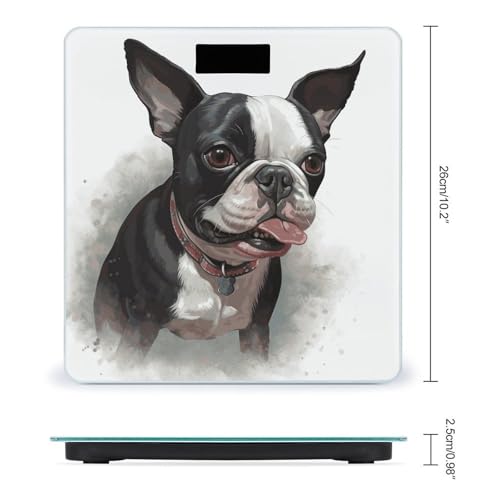 Báscula digital Boston Terrier para peso corporal miniatura 2