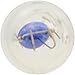 SYLVANIA - 74 Long Life Miniature - Bulb, Ideal for Interior Lighting Courtesy, Ash Tray, and More (Contains 2 Bulbs)