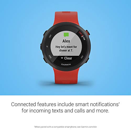 Garmin Forerunner 45, 42mm Easy-to-Use GPS Running Watch with Coach Free Training Plan Support, Red