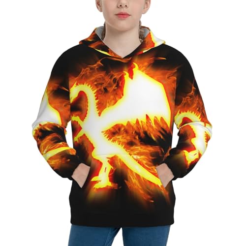 Red Flame Dragon Boy, Girls Sports Shirt Youth Pullover Fashion Hooded Sweatshirt3