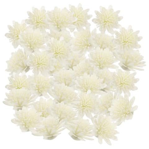GOOHOCHY 100Pcs Diffuser Chrysanthemum Flowers for Aromatherapy Essential Oil Diffuser Accessories Natural Dried Refill for Home Fragrance Cover