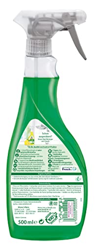 Frosch Glas-Reiniger Spiritus, 500 ml(1er Pack)