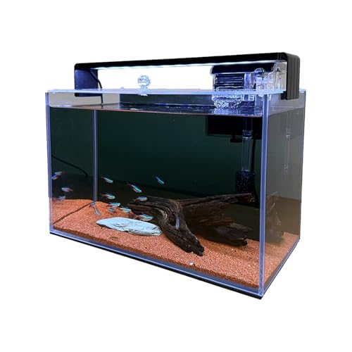 3.2 Gallon Fish Tank, Nano Nature Aquarium Kit,Small Aquarium Starter Kit,Ultra-Clear Rimless Desktop Small Aquarium with Filter and Light for Betta,Shrimp,Goldfish.Black Glass