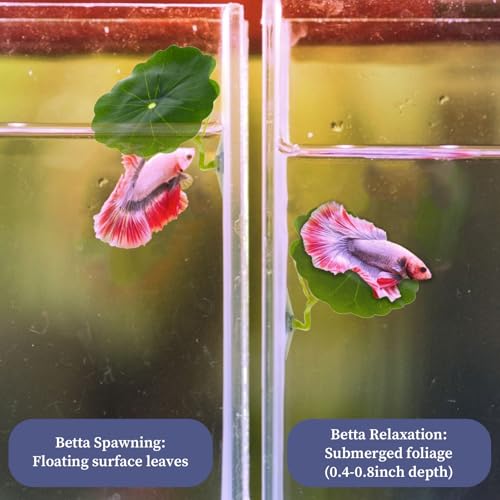 Image of 5Pcs Leaf Style Betta Fish Tank Accessories, Plastic Plant Aquarium Decor with Acrylic Tunnel, Safe Betta Leaf Hammock Simulate Natural Ecological Environment(Green)