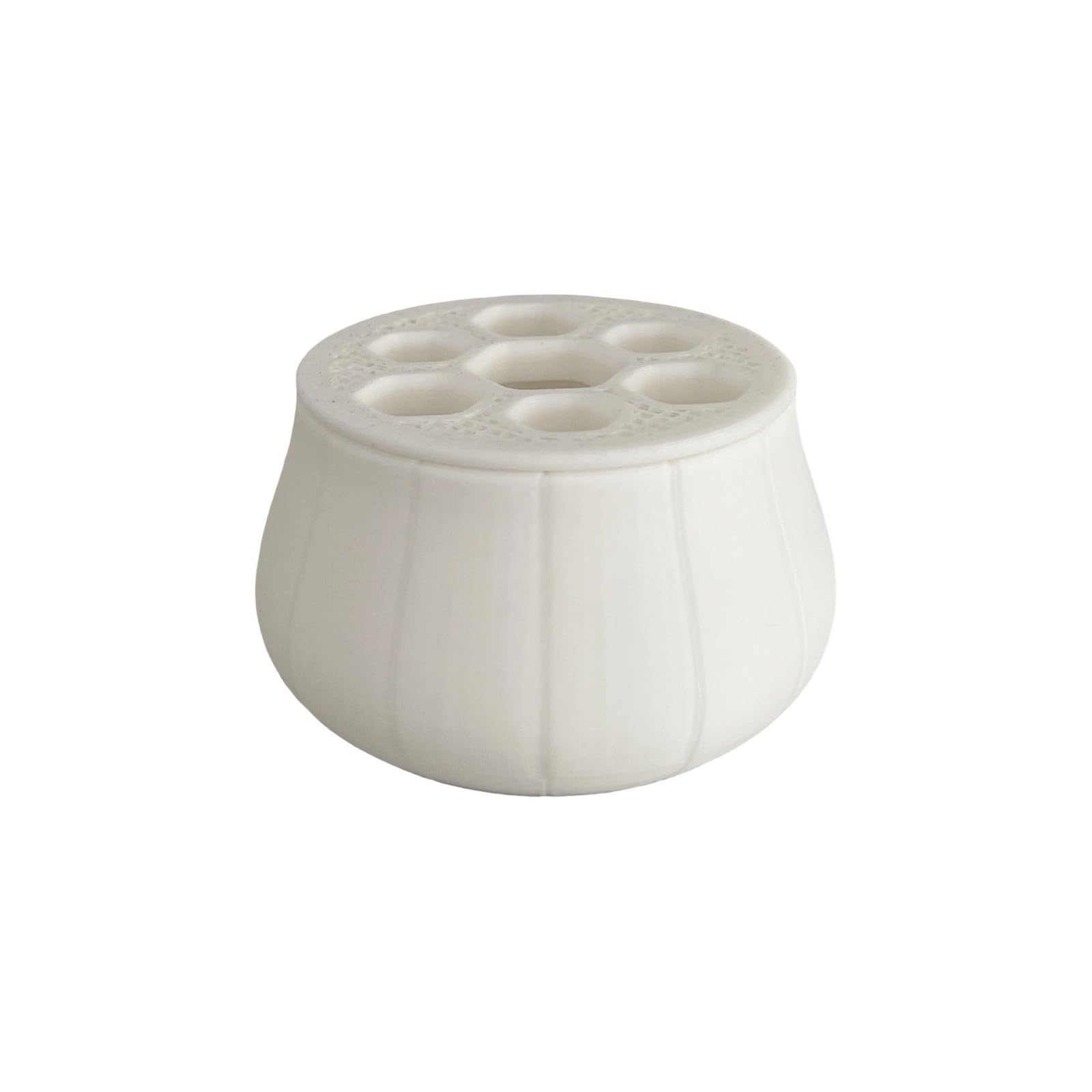 ZBIianxer Hydroponic Onion Planter for Soil Without Gardening and Fast Scallion Cultivation in Homes Environment Indoor Plant Decoration