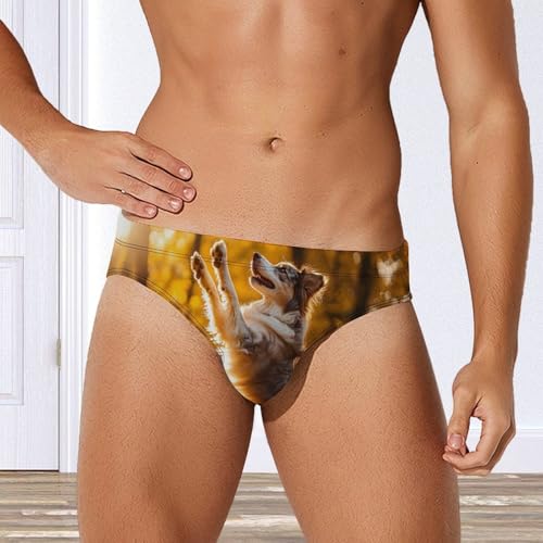 Australian Shepherd Autumn Men's Swim Brief Sexy Bikini Swimwear Swimsuit Trunks Bathing Suits4