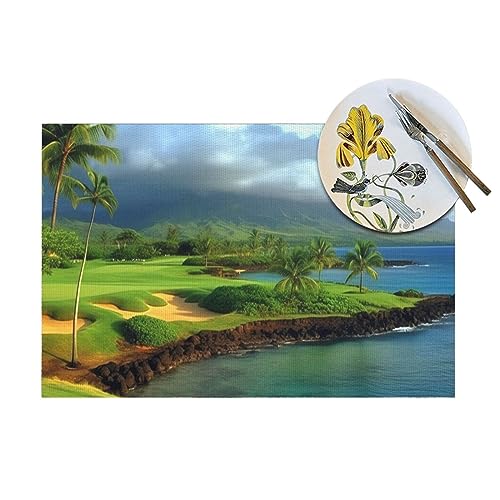 Sets de table tropical hawaïen lavables pour protéger votre mobilier - 7