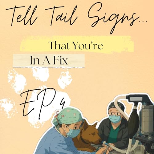 Tell Tail Signs That You're In A Fix
