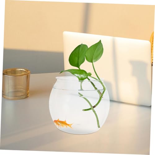 Jardinière hydroponique de bureau transparente en plastique résistant