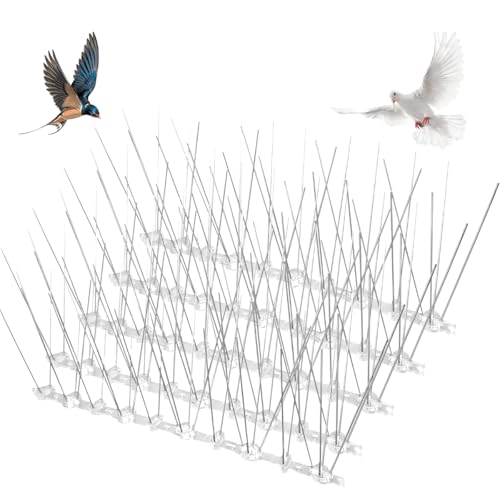 Bird Spikes with Flexible Plastic Base Anti Bird Deterrent Stainless Steel Pigeon Repellent Harmless Arrow Pigeon Spikes Fence Kit for Deterring Crows Woodpeckers Windowsill Roof Railing (20pcs 5m)